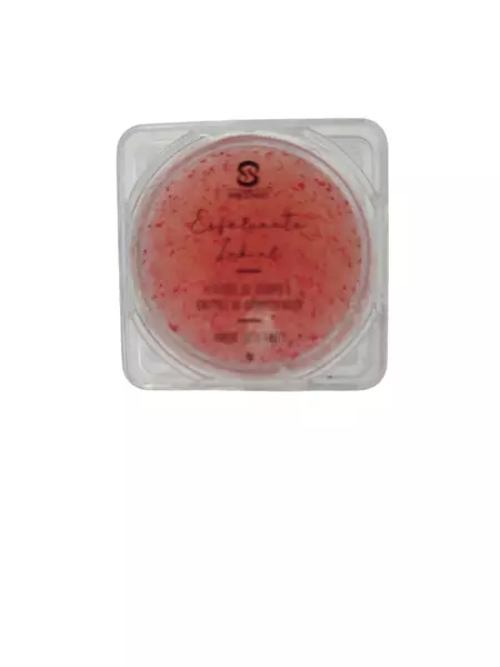 Esfoliante Labial de Açúcar com Esferas de Jojoba- Sabor Chiclete